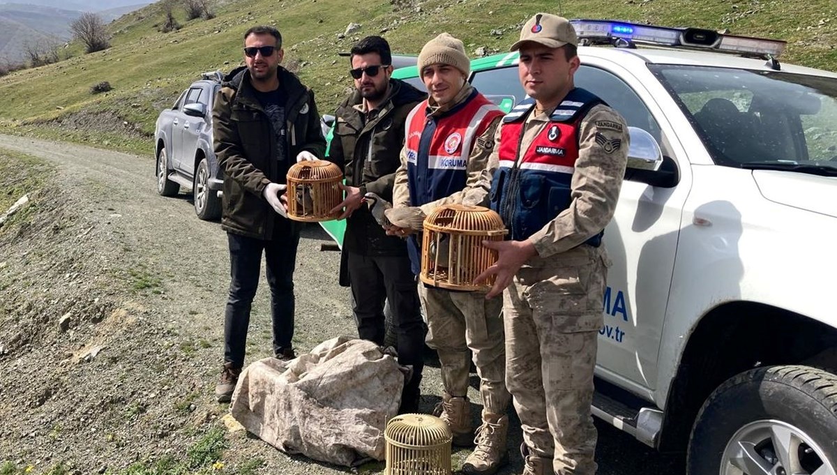 Bitlis'te keklik avlayan 4 kişiye 106 bin 135 lira para cezası uygulandı