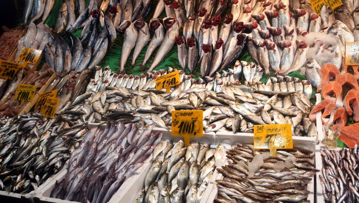 Balıkçılık sektöründen istavrit avcılığının yasaklanması talebi