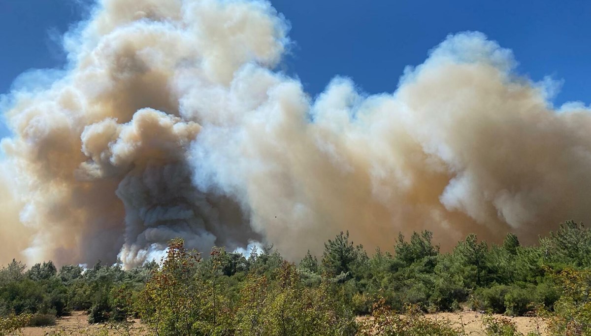 Manavgat ve Soma'daki orman yangınları kontrol altında