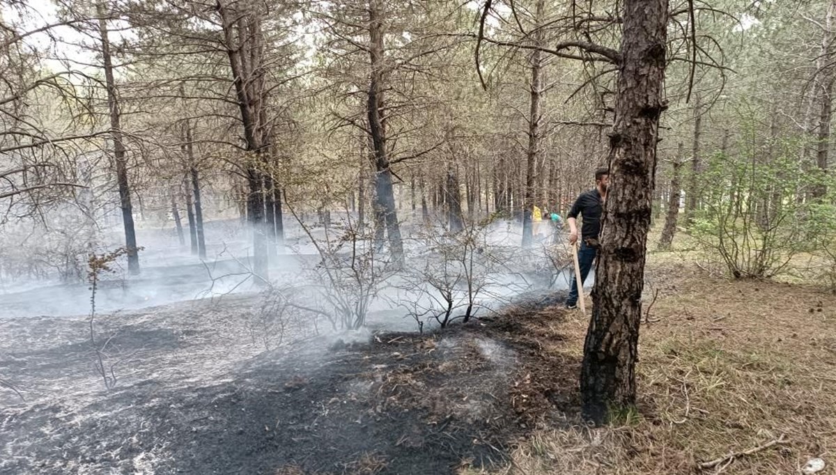 Samsun'da orman yangını: 2 dekar alan zarar gördü