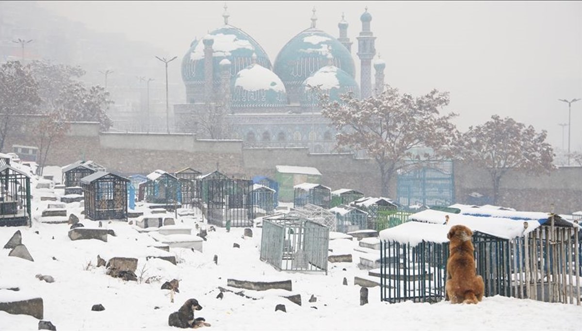 Afganistan'da olumsuz hava koşulları: 60 kişi hayatını kaybetti