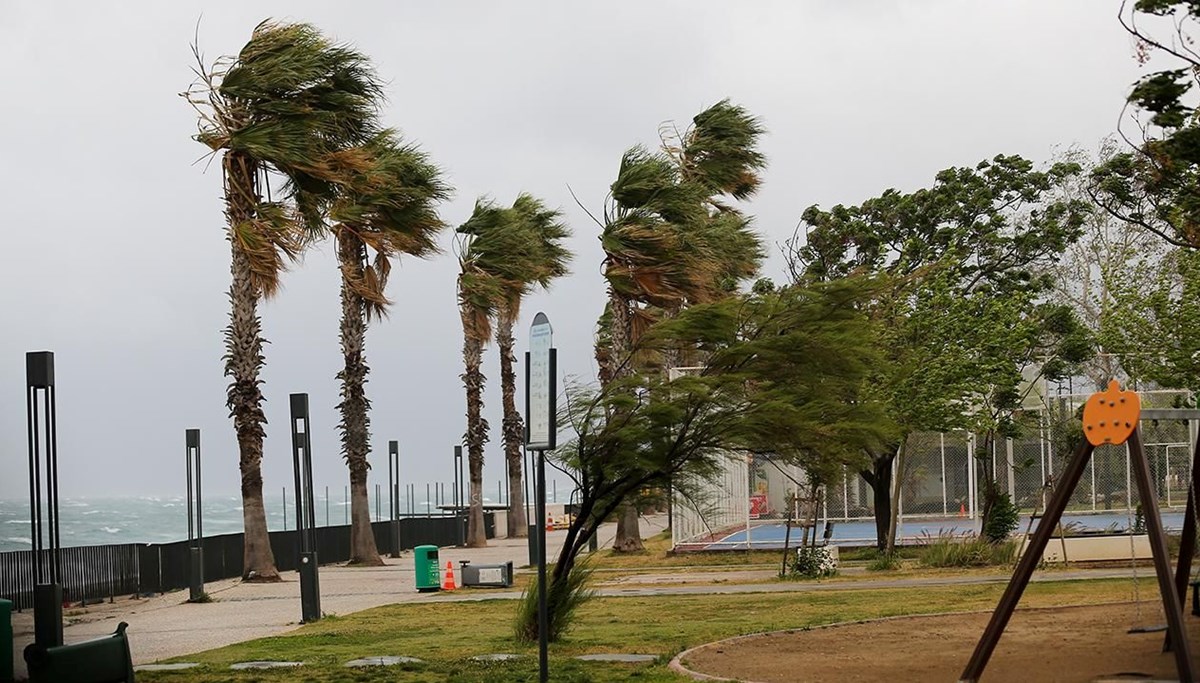 Yurdun batısında fırtına: Antalya'da rüzgarın hızı 118 kilometreye ulaştı, İstanbul'da ağaçlar devrildi