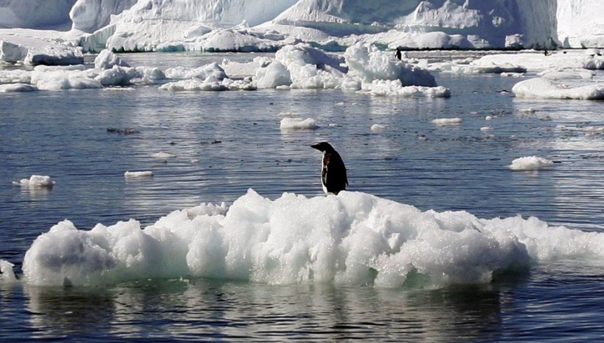 Antarktika’da araştırmacılara şort giydiren anormal sıcaklıkların nedeni belli oldu