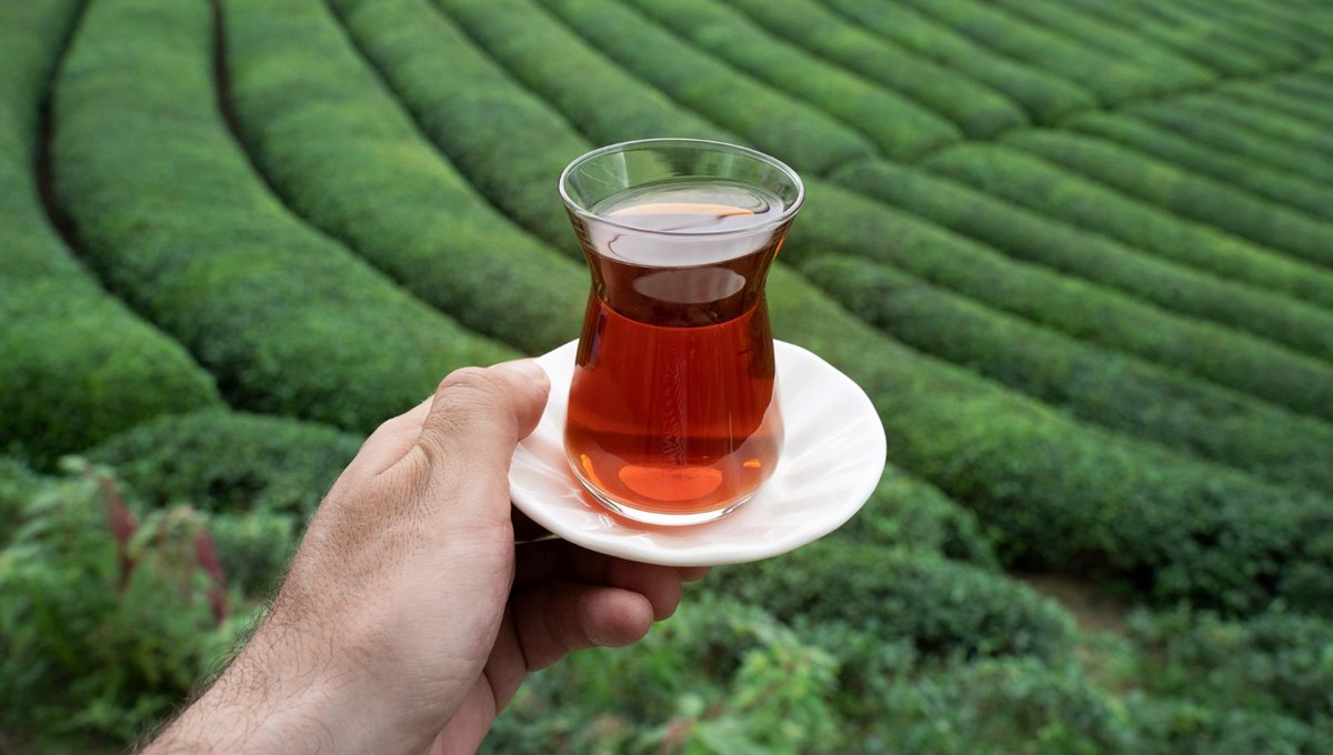 Çaykur'dan destek ödemeleriyle ilgili açıklama: Yaş çay destek ödemeleri yattı mı?