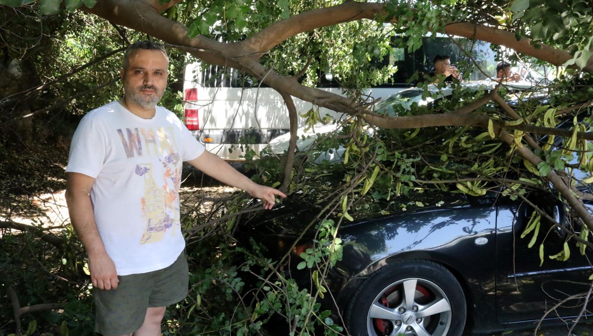 Tatile geldiği Antalya'da, otomobilinin üzerine ağaç devrildi