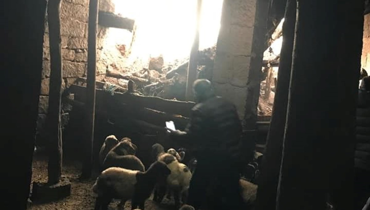 Bitlis'te ağıl çöktü: 20 hayvan telef oldu