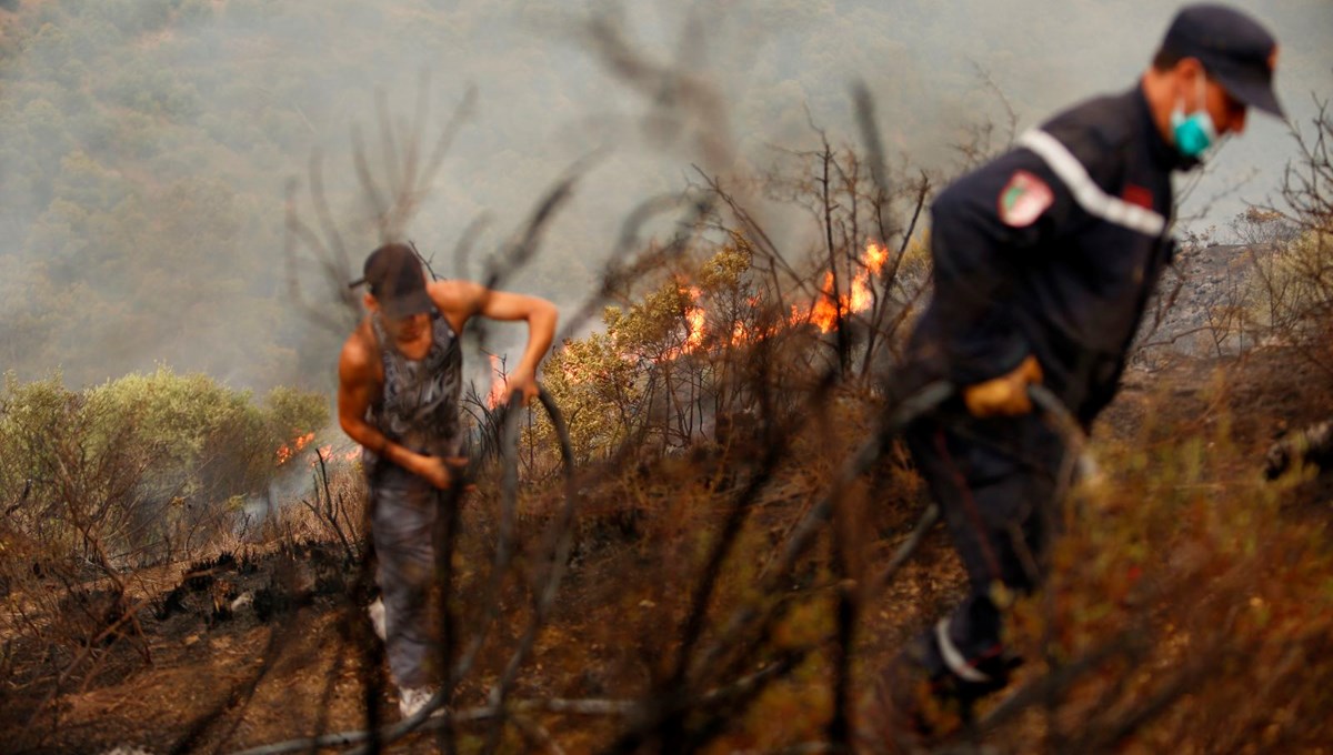 Cezayir’deki orman yangınlarında ölenlerin sayısı 34’e yükseldi