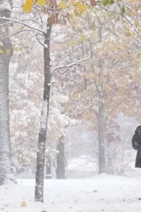 Meteoroloji il il uyardı: Kar, yağmur, sis Geliyor