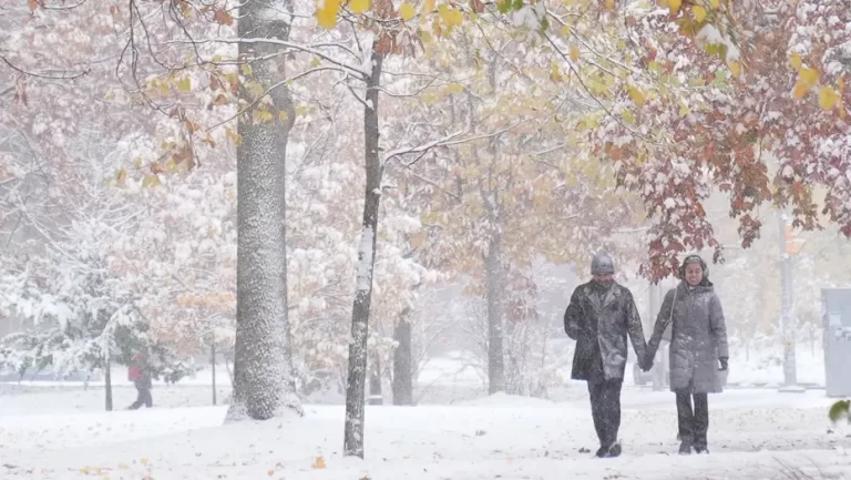 Meteoroloji il il uyardı: Kar, yağmur, sis Geliyor