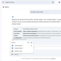 Gemini Drive Search 2 1 Tekbilgin