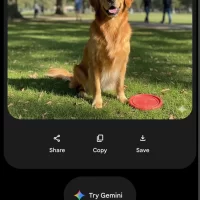 Gemini Image Sharing Link 1 Aa Tekbilgin
