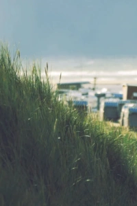 Eskiye Veda, Hıza Merhaba – Bilgisayarınızı Adım Adım Hızlandırma Rehberi