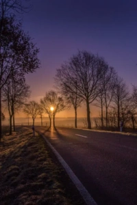 Gençlerin Rehberi – Doğayla Barışık Sürdürülebilir Yaşam Adımları