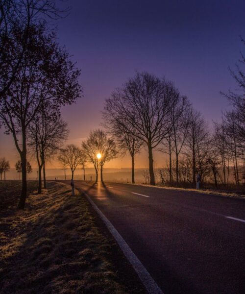 Gençlerin Ekolojik Ayak İzleri – Geleceği Şekillendiren Adımlar
