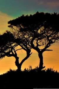 Doğa ve Yaşamın Geleceği – Yeni Nesil İçin 5 Adımda Çözüm Rehberi